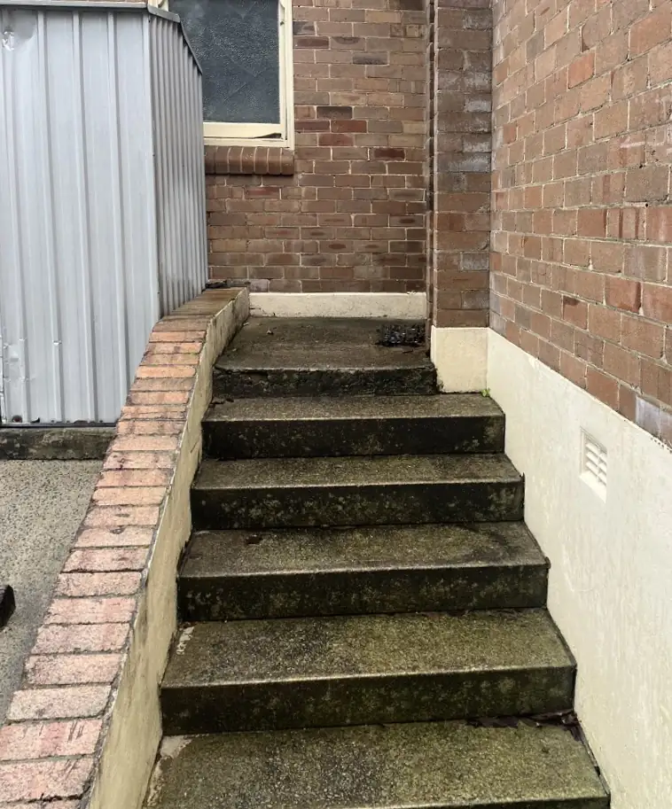 Concrete steps between brick walls covered in green moss