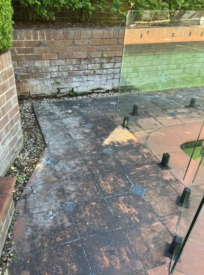 Tiled walkway beside a glass pool fence, black with mould
