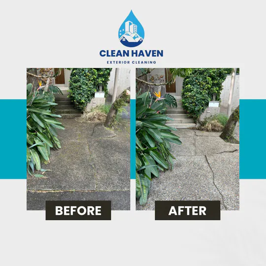 Mossy Concrete Pavement Cleaning, before and after cleaning by CleanHaven
