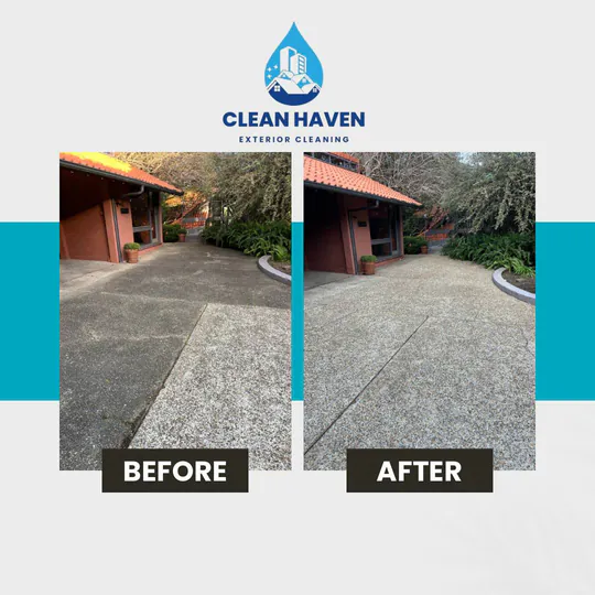 Concrete path before and after pressure washing
