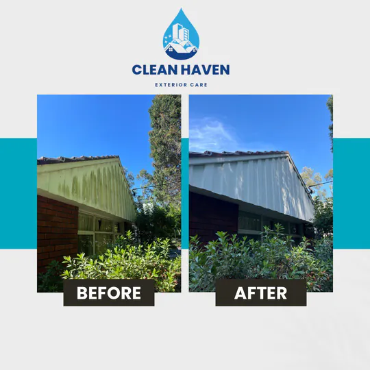 Roof with black mould before and after soft washing