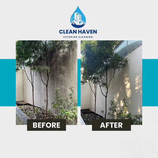 White Garden Wall Restoration, before and after cleaning by CleanHaven